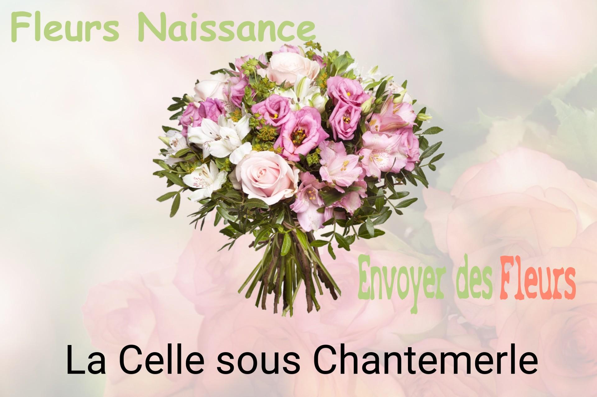Bouquet de fleurs de naissance livré à La Celle-sous-Chantemerle